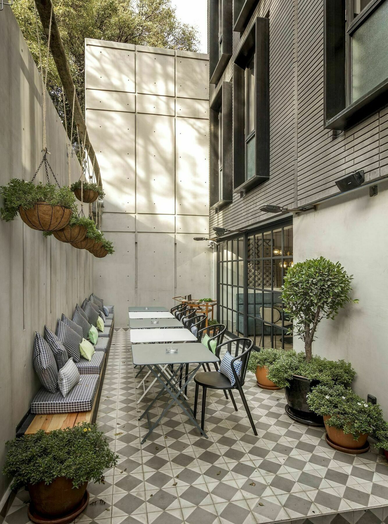 The Wild Oscar 5* Mexico City
